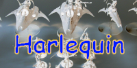 Harlequin